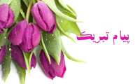 پیام تبریک به خانم دکتر زهرا مستانه به عنوان استاد نوآور برگزیده دانشگاه در زمینه فرایند های نوآورانه آموزشی